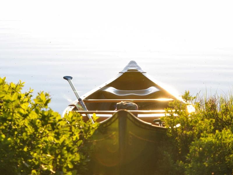 Premium SOLAR ENERGY SUB 1 Item 1